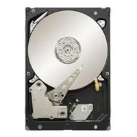 Seagate 2TB SAS 3.5  (ST32000645SS)